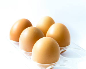 Studio shot five raw brown eggs on plastic package isolated on white