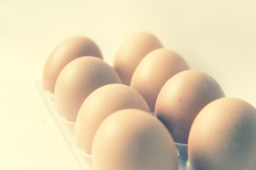 Filtered image studio shot raw brown eggs on plastic package isolated on white