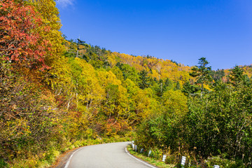 【長野県】北アルプス　紅葉の乗鞍岳　乗鞍エコーライン