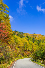【長野県】北アルプス　紅葉の乗鞍岳　乗鞍エコーライン