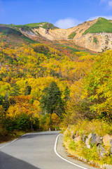 【長野県】北アルプス　紅葉の乗鞍岳