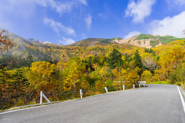 【長野県】北アルプス　紅葉の乗鞍岳　乗鞍エコーライン