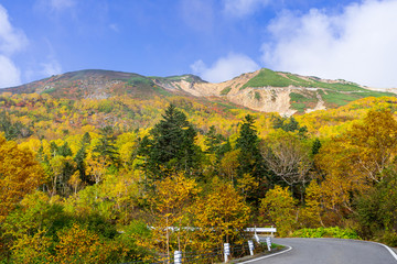 【長野県】北アルプス　紅葉の乗鞍岳　乗鞍エコーライン