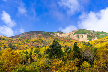 【長野県】北アルプス　紅葉の乗鞍岳