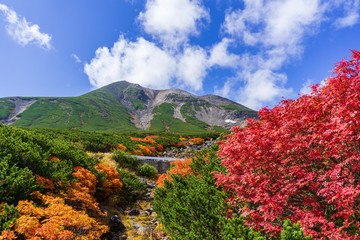 【長野県】北アルプス　紅葉の乗鞍岳