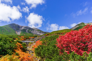 【長野県】北アルプス　紅葉の乗鞍岳
