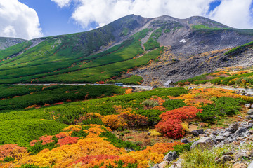 【長野県】北アルプス　紅葉の乗鞍岳