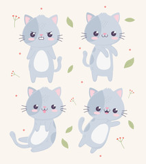 kawaii cartoon cute cats characters gesture faces expressions