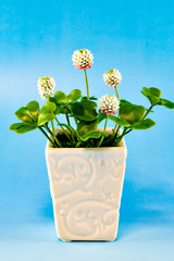 White clover made with resin clay