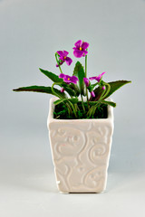 Violet made with resin clay
