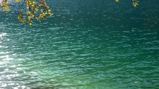 Autumn Leaves and Pristine Green Mountain Lake