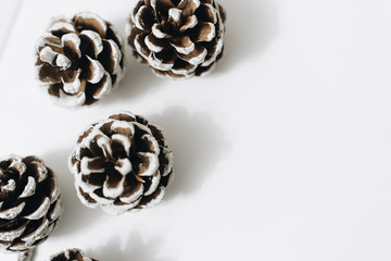 pine cones on a white background, New Year decorations