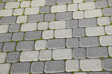 Industrial building background of paving slabs with overgrown wi