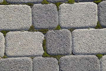 Industrial building background of paving slabs with overgrown wi