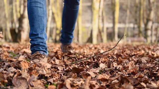 Playful man kicking up a pile of colorful leaves during a walk through the idyllic park in fall. Man walking along path full of tree leaves. Slow motion, low angle .