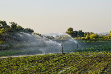 Irrigation system in field of melons. Watering the fields. Sprin