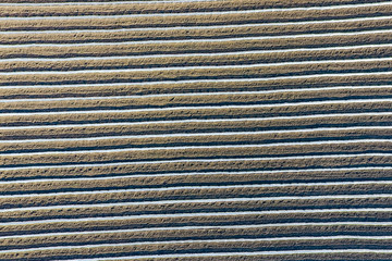 Rows of filmy greenhouses in the field. Growing vegetables in a