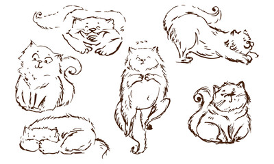 hand drawn monochrome set of different cat positions. funny cartoonish style.