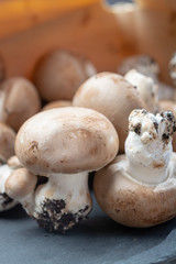 Fresh organic brown chestnut champignons from underground caves in Belgium