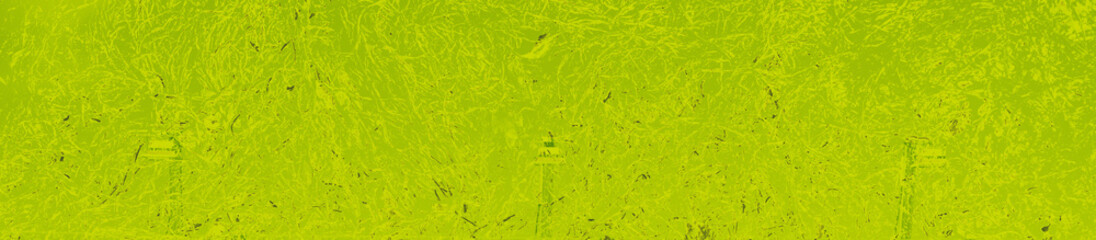 abstract lime and green colors background for design