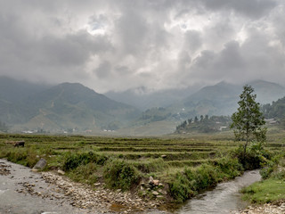 Landscape of Sapa, Vietnam