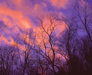 Sunset Lit Clouds