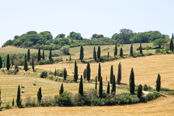 Tuscany hills panorama summer view, Italian landscape