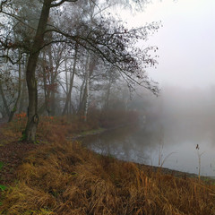 Obraz na płótnie Canvas Autumn lake with forest and fog