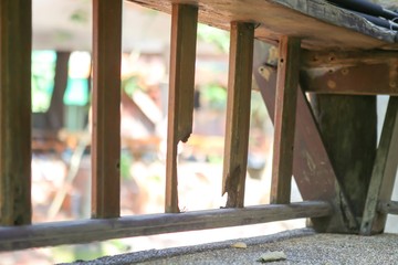 Wooden bridge in Thailand , Summer