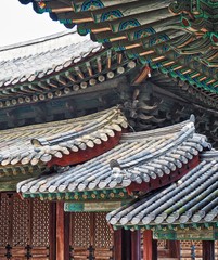 Fototapeta na wymiar 한국의 전통궁전 창덕궁