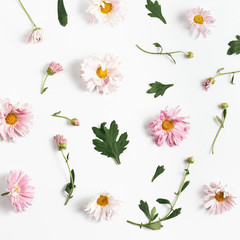 floral pattern. beautiful pink chrysanthemums and green leaves on a white background. flat lay, square frame
