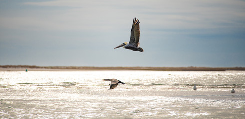 Ocean Views from the Boat in the Topsail Inlet