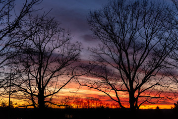 Silhouette of bare trees in sunset in fall
