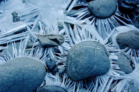 Ice feathers growing off of cold river rocks 