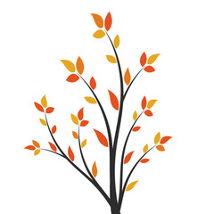 Silhouette of a branch with yellow leaves. Young tree. 