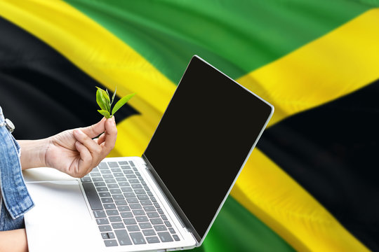 Jamaica modern agriculture concept. Farmers holding laptop, check tea on national flag background. Ecology theme with copy space.