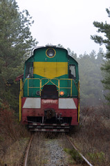 Special railway service train cuts overhanging branches. Near Kiev, Ukraine