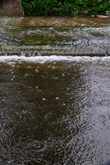 Heavy rain caused flooding over sidewalk, grass strip, and road