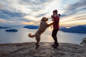 Obraz premium Adventurous Girl Hiking on top of a Mountain with a dog during a colorful sunset. Taken on Tunnel Bluffs Hike, near Vancouver and Squamish, British Columbia, Canada.