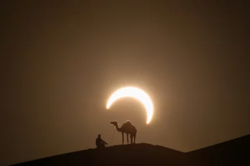 Wall murals Abu Dhabi Annular solar eclipse in desert with a silhouette of a dromedary camel. Liwa desert, Abu Dhabi, United Arab Emirates.