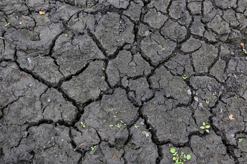 Parched over the summer, the riverbed of the river