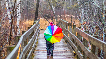 Child Walking on Wetlands Boardwalk with Umbrella