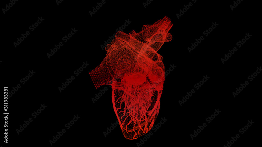 Aufkleber Futuristic head up display motion element virtual biomedical holographic human body scan neurological examination, axial skeleton, vertebral column, DNA and heart diagnostic for background display