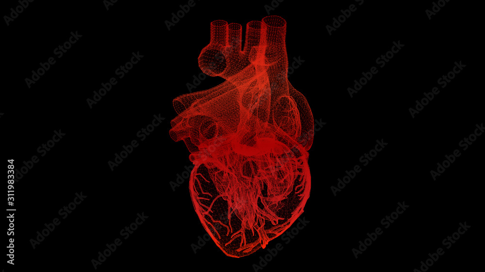 Aufkleber futuristic head up display motion element virtual biomedical holographic human body scan neurologica