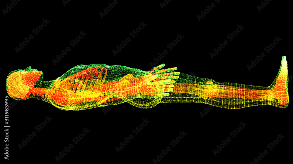Aufkleber futuristic head up display motion element virtual biomedical holographic human body scan neurologica