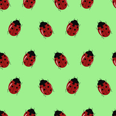 Seamless pattern with cute ladybug on a green background. Vector illustration.