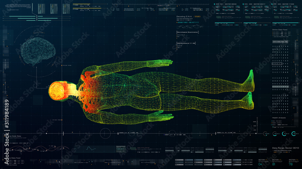 Aufkleber Futuristic head up display motion element virtual biomedical holographic human body scan neurological examination, axial skeleton, vertebral column, DNA and heart diagnostic for background display