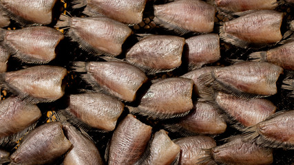 Preparing dried Trichopodus for cooking in Thai food style. This method is type of food preservation.