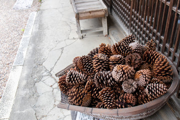 かごに積まれた多くの松ぼっくり