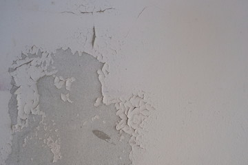 Cement wall painted in white, broken, molded, black, dirty, concept background image